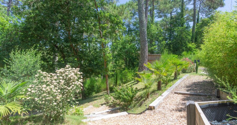 Une maison de bois, comme dans les arbres