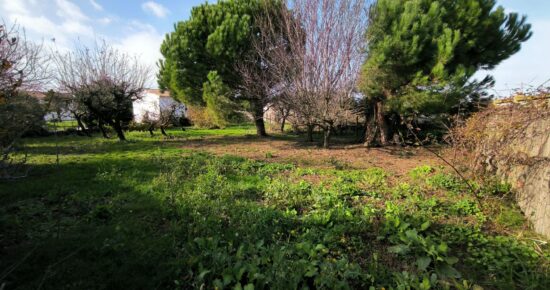 Terrain constructible Bourcefranc-le-chapus  (Charente-Maritime 17)