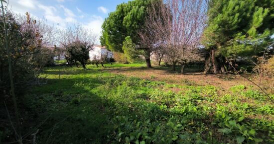 Terrain constructible Bourcefranc-le-chapus  (Charente-Maritime 17)