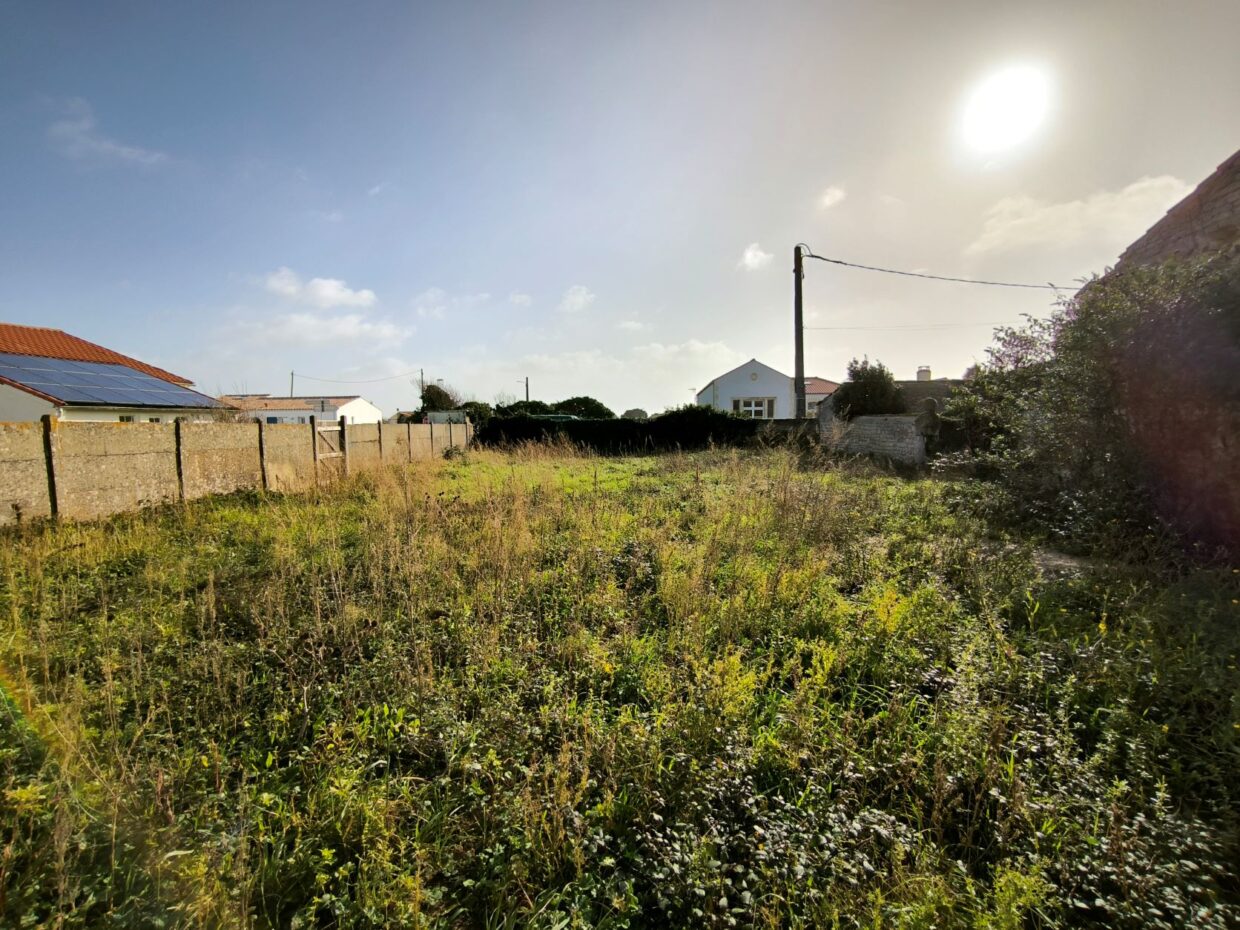 Terrain constructible Saint-pierre-d'oléron  (Charente-Maritime 17)