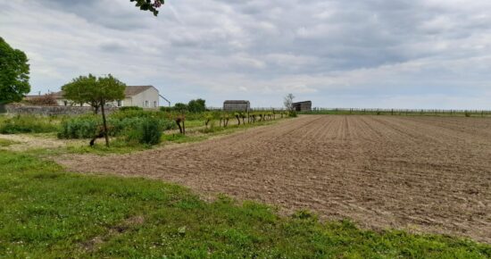 Terrain constructible Échallat  (Charente 16)