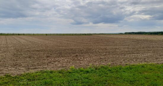 Terrain constructible Échallat  (Charente 16)