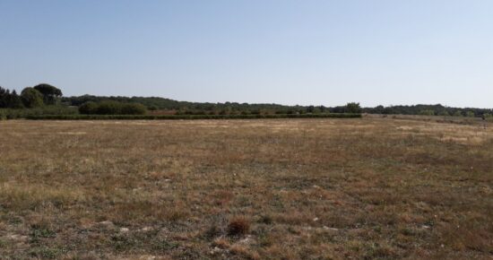 Terrain constructible Dunes  (Tarn et Garonne 82)