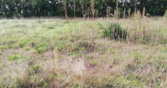 Terrain constructible Saint-aubin-de-médoc  (Gironde 33)