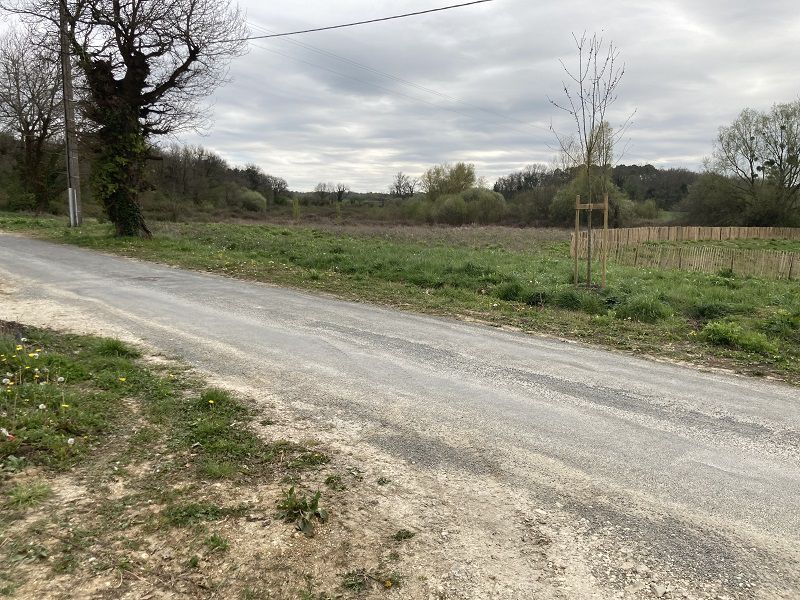 Terrain constructible Baron  (Gironde 33)