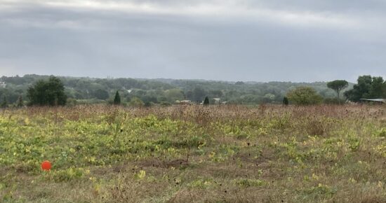 Maison avec terrain Espiet  (Gironde 33)