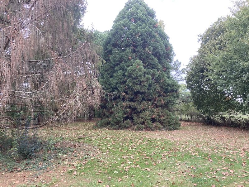 Maison avec terrain Loupes  (Gironde 33)