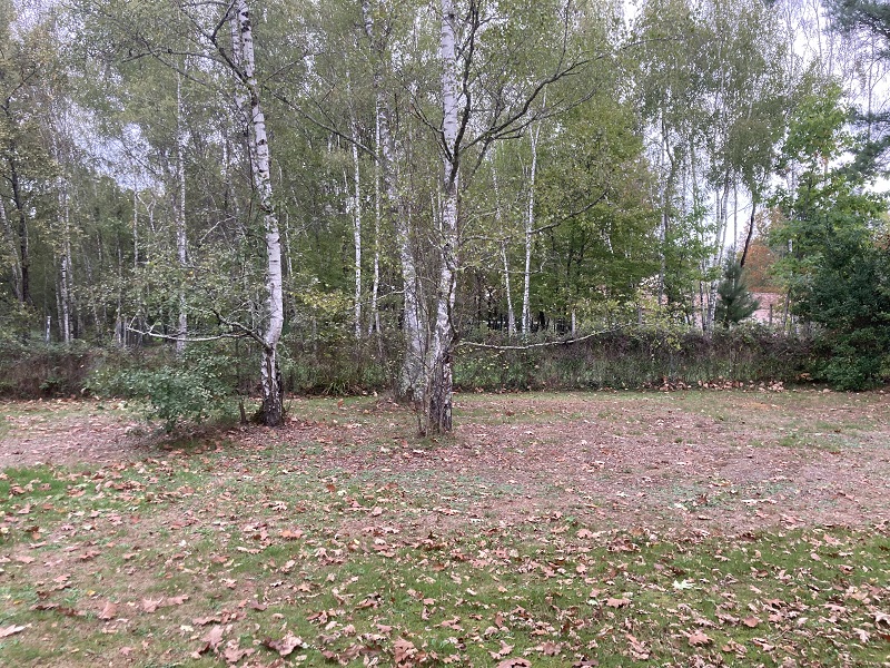 Maison avec terrain Loupes  (Gironde 33)