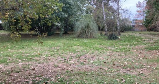 Maison avec terrain Loupes  (Gironde 33)