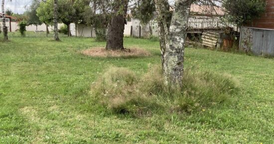 Terrain constructible Saint-loubès  (Gironde 33)