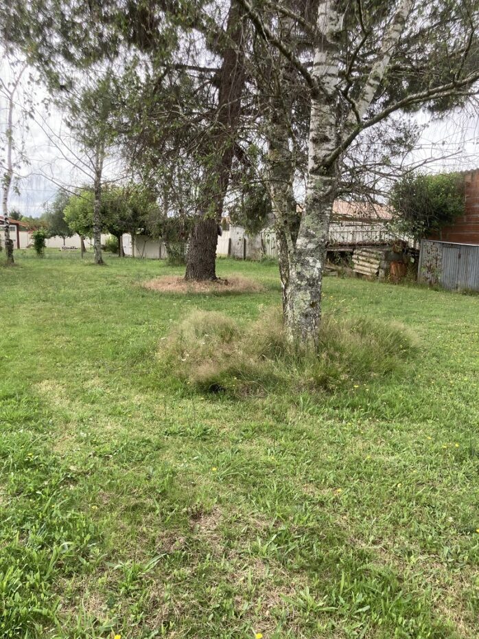 Terrain constructible Saint-loubès  (Gironde 33)