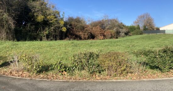 Terrain constructible Carignan-de-bordeaux  (Gironde 33)