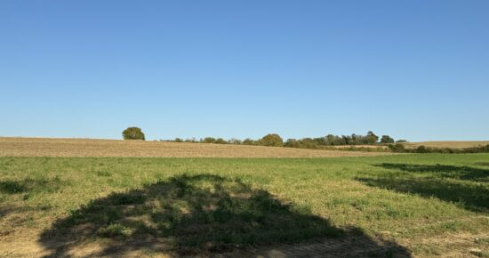 Terrain constructible Lamontjoie  (Lot et Garonne 47)