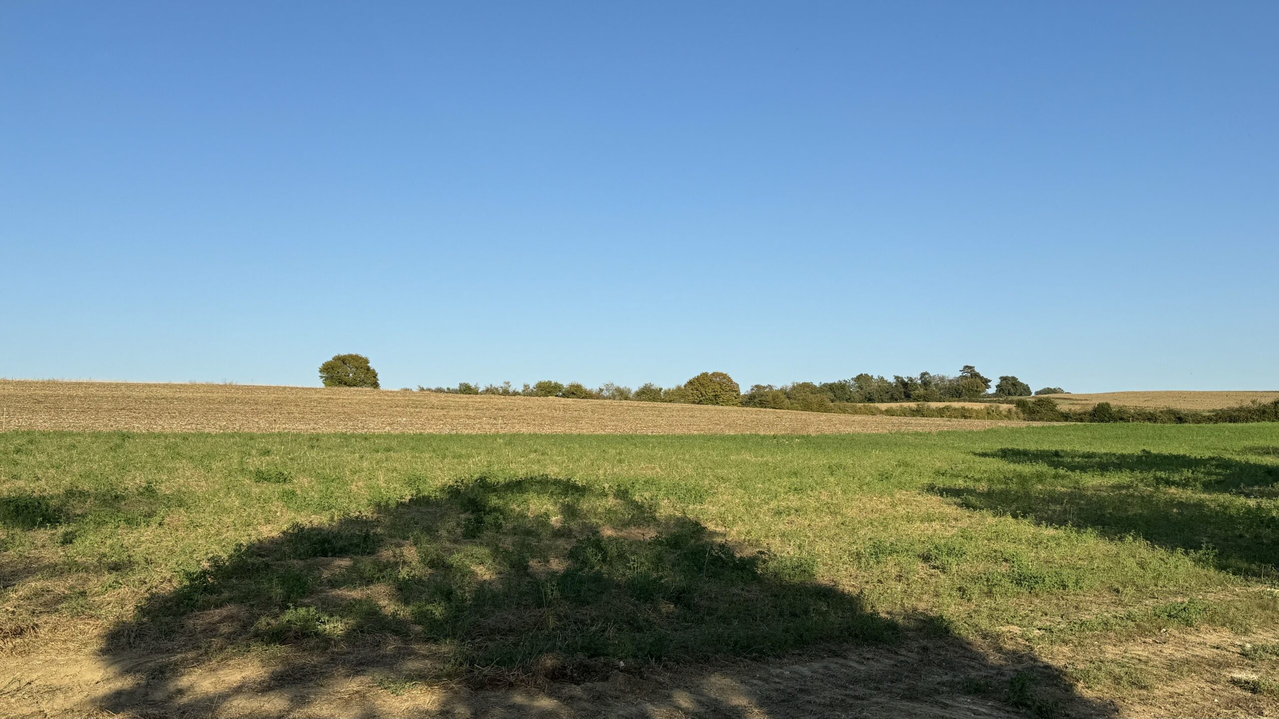 Terrain constructible Lamontjoie  (Lot et Garonne 47)