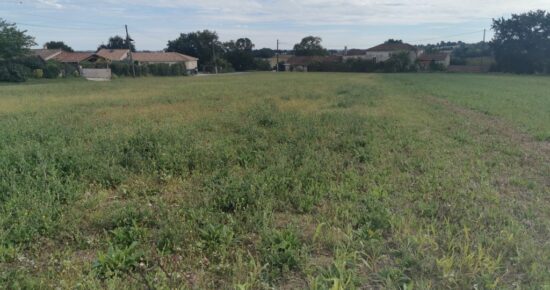 Terrain constructible Calignac  (Lot et Garonne 47)