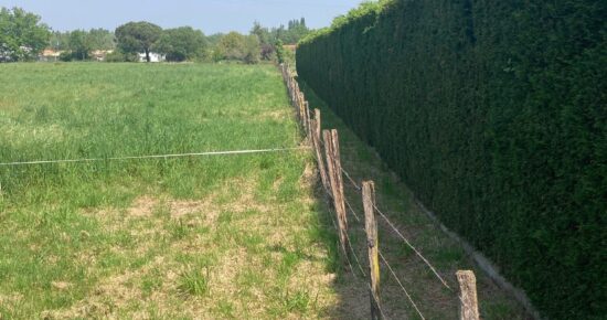 Terrain constructible Saint-sulpice-et-cameyrac  (Gironde 33)