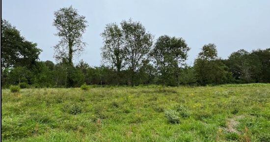 Terrain constructible Saint-geours-de-maremne  (Landes 40)