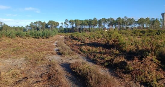 Terrain constructible Castets  (Landes 40)