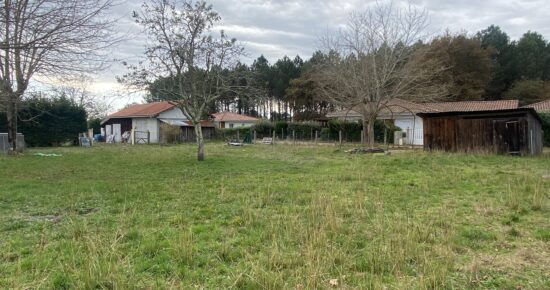 Terrain constructible Pontenx-les-forges  (Landes 40)