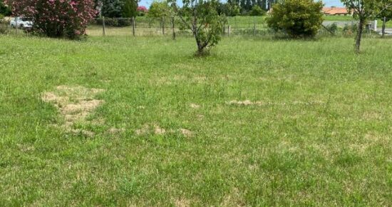 Maison avec terrain La lande-de-fronsac  (Gironde 33)