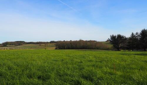 Maison avec terrain Lugasson  (Gironde 33)