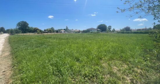 Terrain constructible Berson  (Gironde 33)