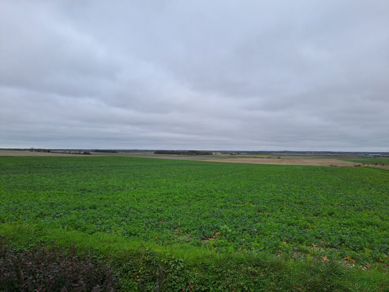 Terrain constructible Médis  (Charente-Maritime 17)