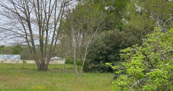 Terrain constructible Saint-aubin-de-médoc  (Gironde 33)