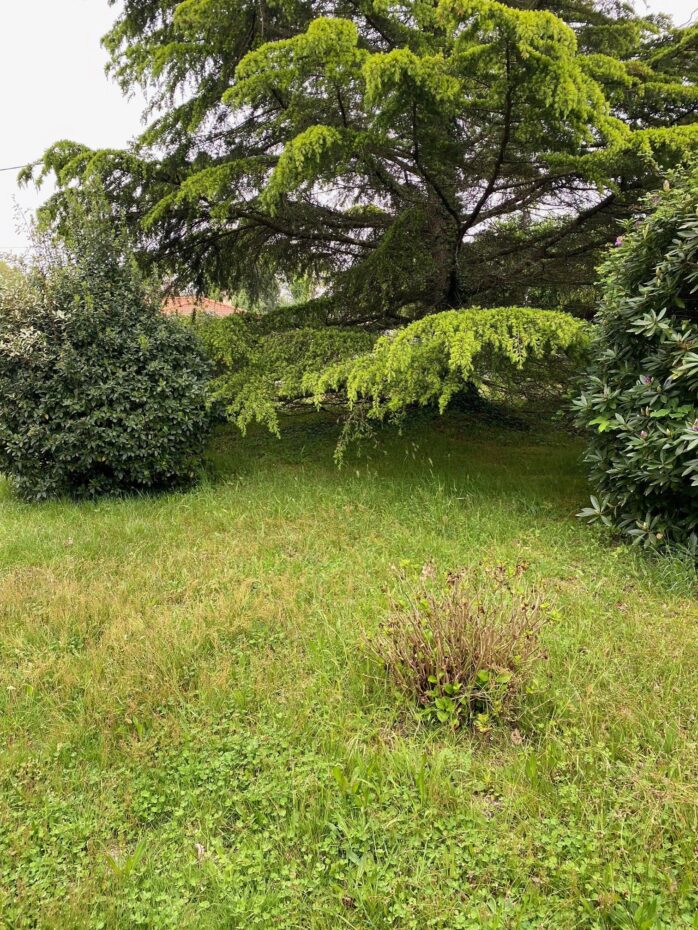 Terrain constructible Castelnau-de-médoc  (Gironde 33)