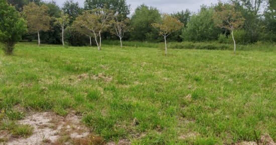 Terrain constructible Montussan  (Gironde 33)