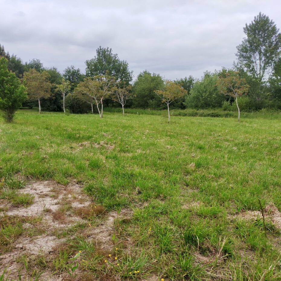 Terrain constructible Montussan  (Gironde 33)