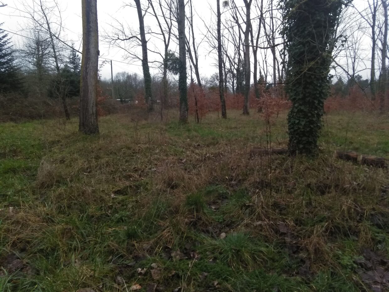 Terrain constructible Floirac  (Gironde 33)