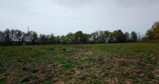 Terrain constructible Quinsac  (Gironde 33)