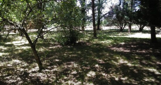 Terrain constructible La sauve  (Gironde 33)