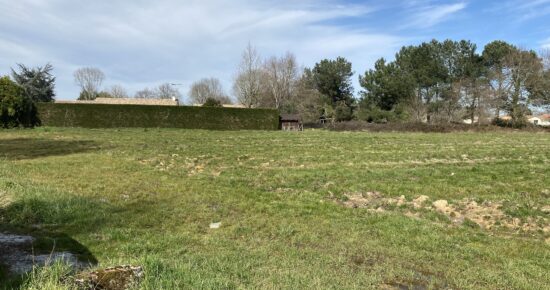 Terrain constructible Listrac-médoc  (Gironde 33)