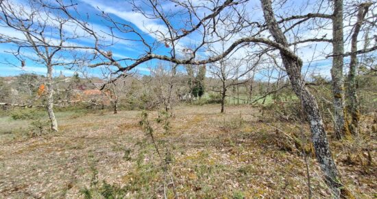 Terrain constructible Le montat  (Lot 46)