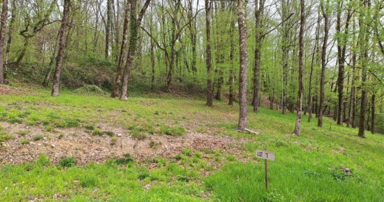 Terrain constructible Saint-denis-catus  (Lot 46)