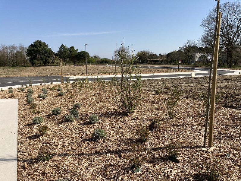 Terrain constructible Ambarès-et-lagrave  (Gironde 33)