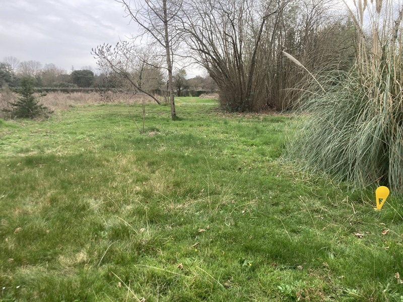 Terrain constructible Artigues-près-bordeaux  (Gironde 33)