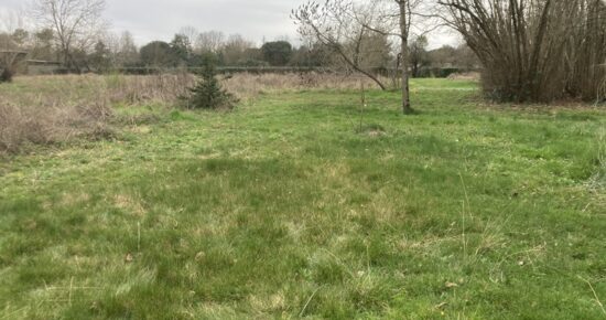 Terrain constructible Artigues-près-bordeaux  (Gironde 33)