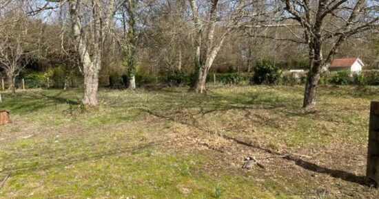 Terrain constructible Margaux  (Gironde 33)