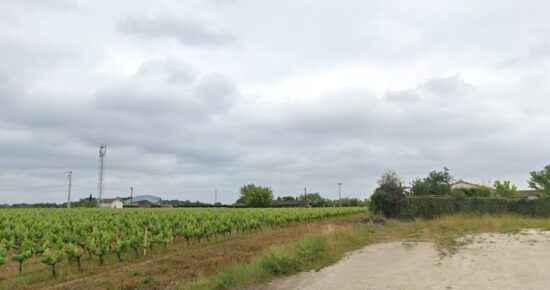 Terrain constructible Listrac-médoc  (Gironde 33)