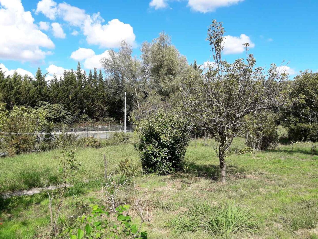 Terrain constructible Ambarès-et-lagrave  (Gironde 33)