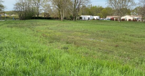 Terrain constructible Margaux  (Gironde 33)