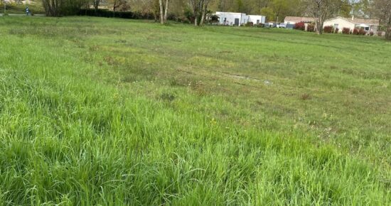 Terrain constructible Talais  (Gironde 33)