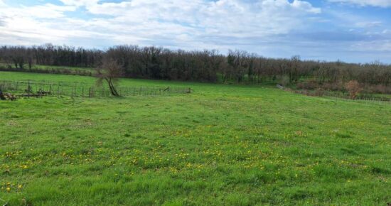 Terrain constructible Lalbenque  (Lot 46)