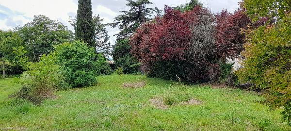 Terrain constructible Cognac  (Charente 16)