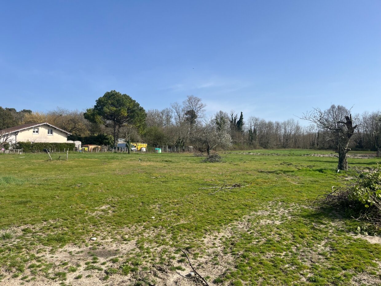 Terrain constructible Castelnau-de-médoc  (Gironde 33)