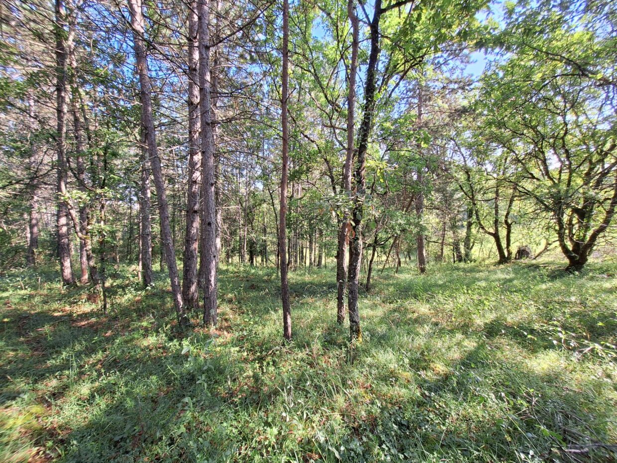 Maison avec terrain Cahors  (Lot 46)