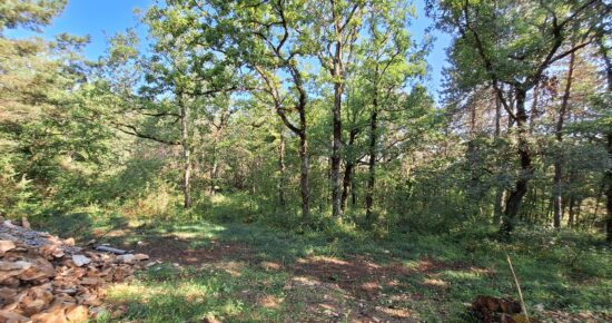 Terrain constructible Cahors  (Lot 46)